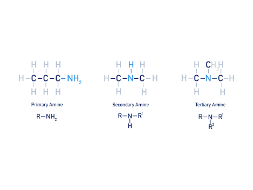 Amines