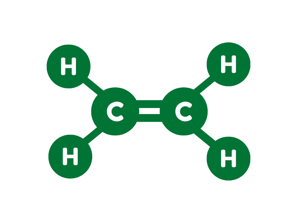 Hydrocarbon 